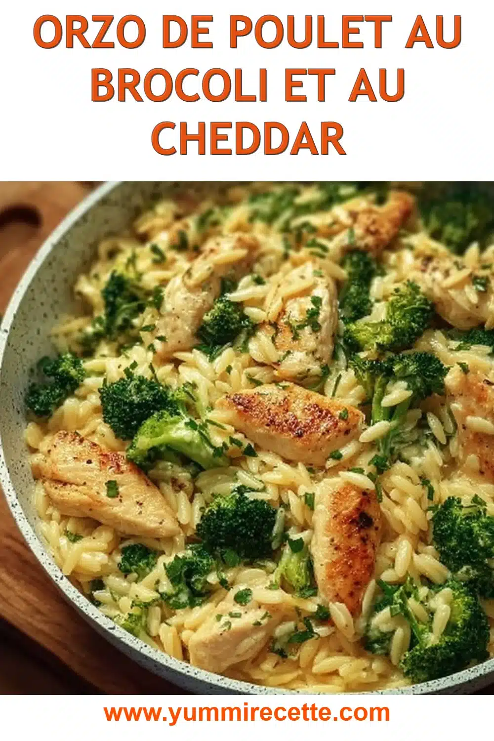 Orzo de Poulet au Brocoli et au Cheddar