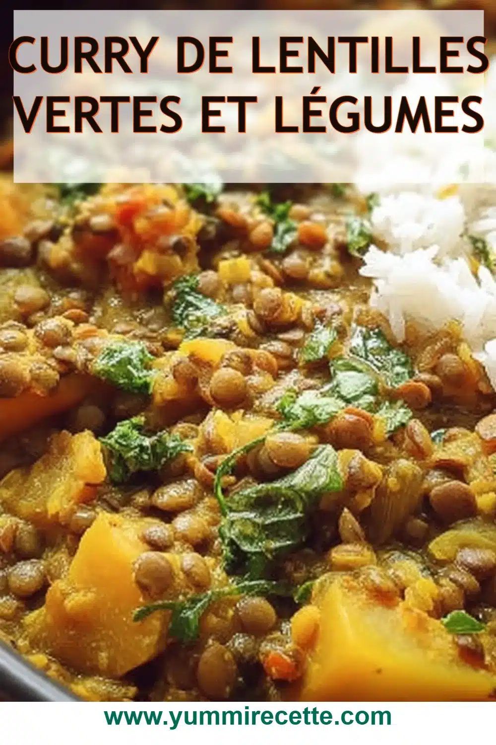 Curry de Lentilles Vertes et Légumes