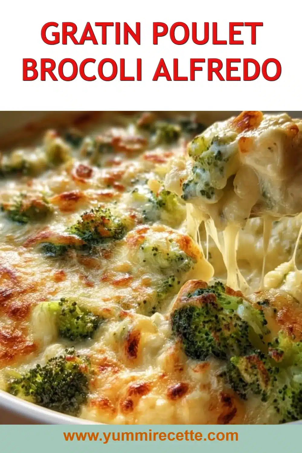 Gratin Poulet Brocoli Alfredo