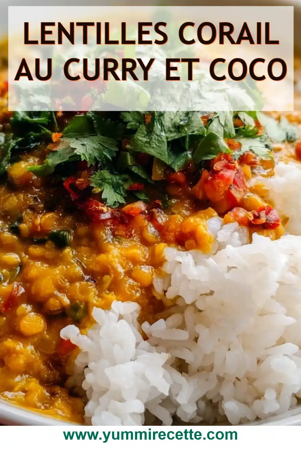 Lentilles corail au curry et coco