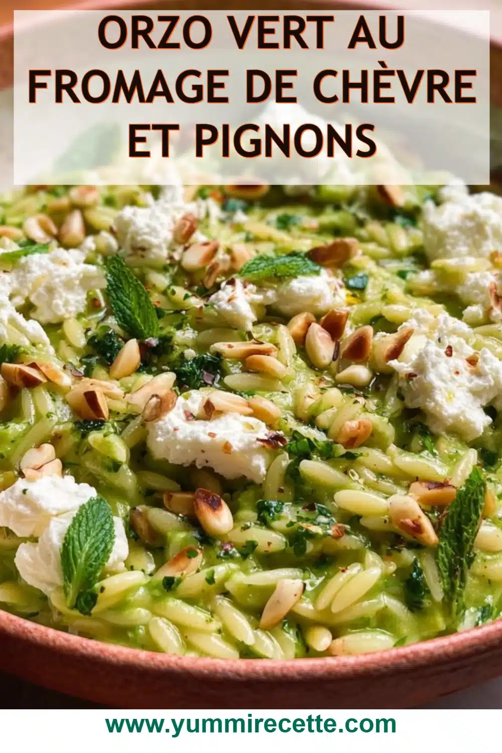 Orzo vert au fromage de chèvre et pignons