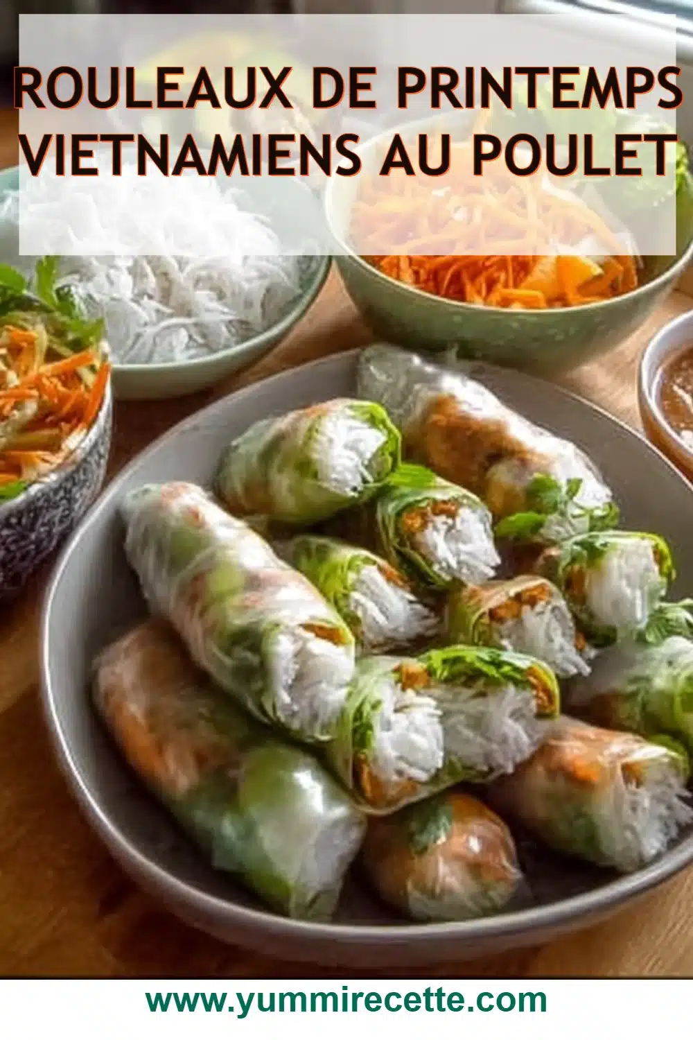 Rouleaux de printemps vietnamiens au poulet