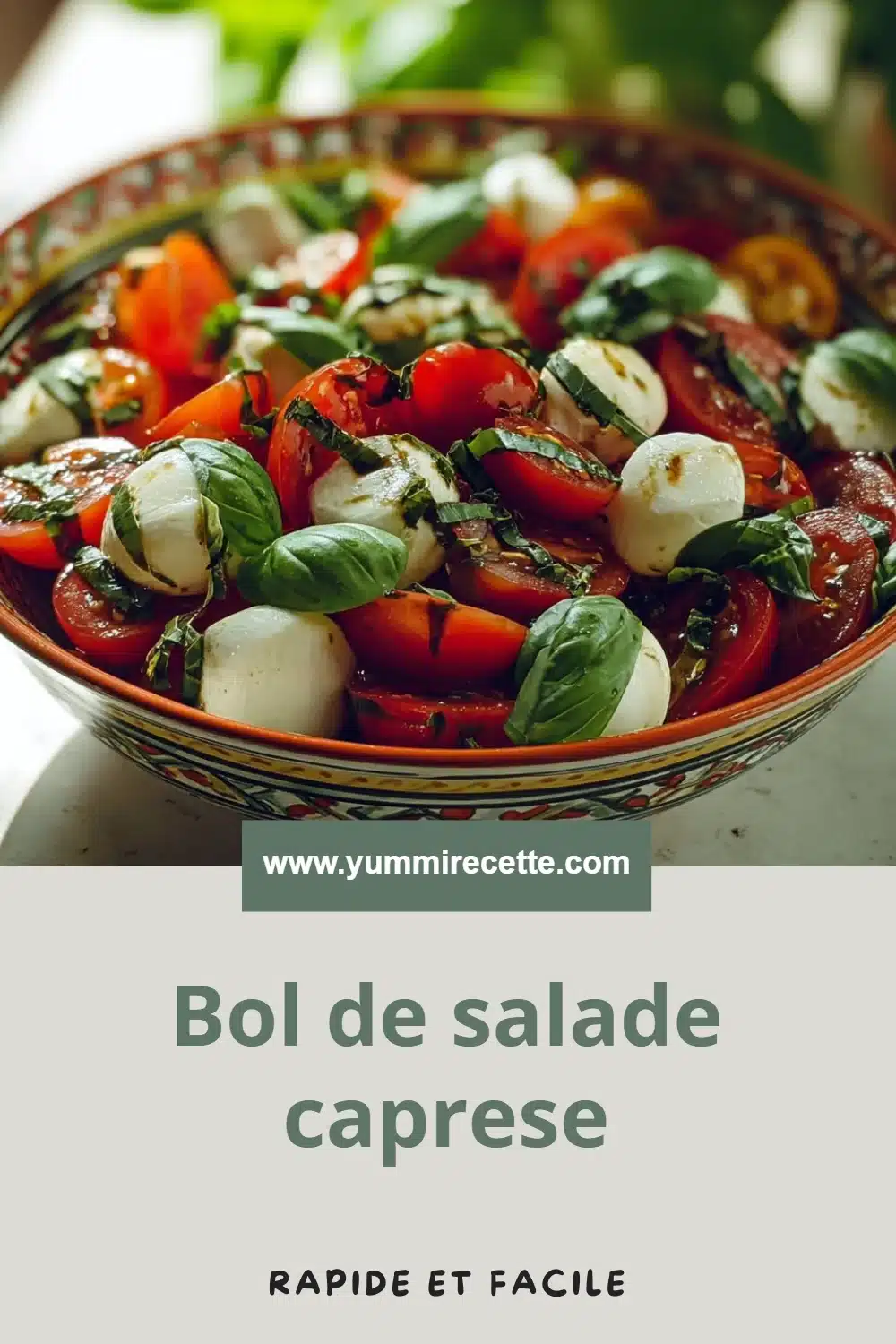 Bol de salade caprese