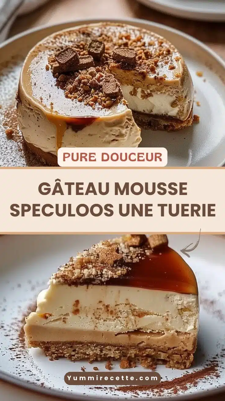 Gâteau mousse speculoos une tuerie
