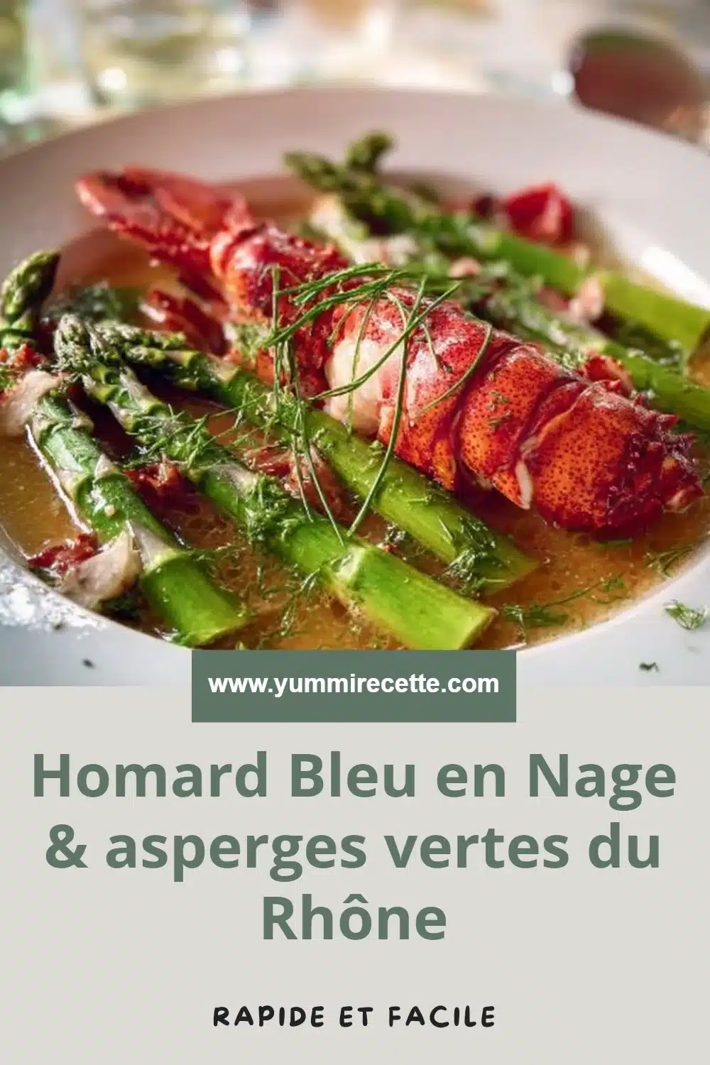 Homard Bleu en Nage & asperges vertes du Rhône