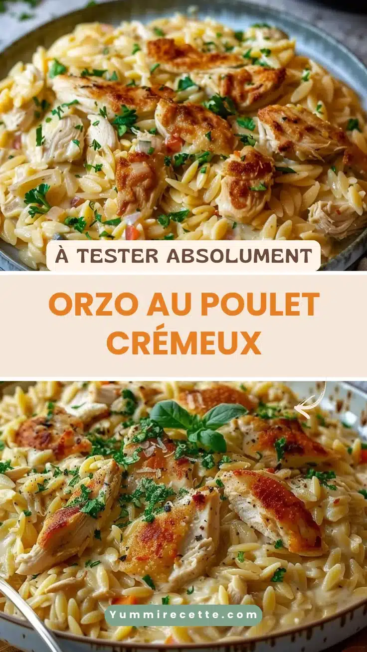 Orzo au Poulet Crémeux
