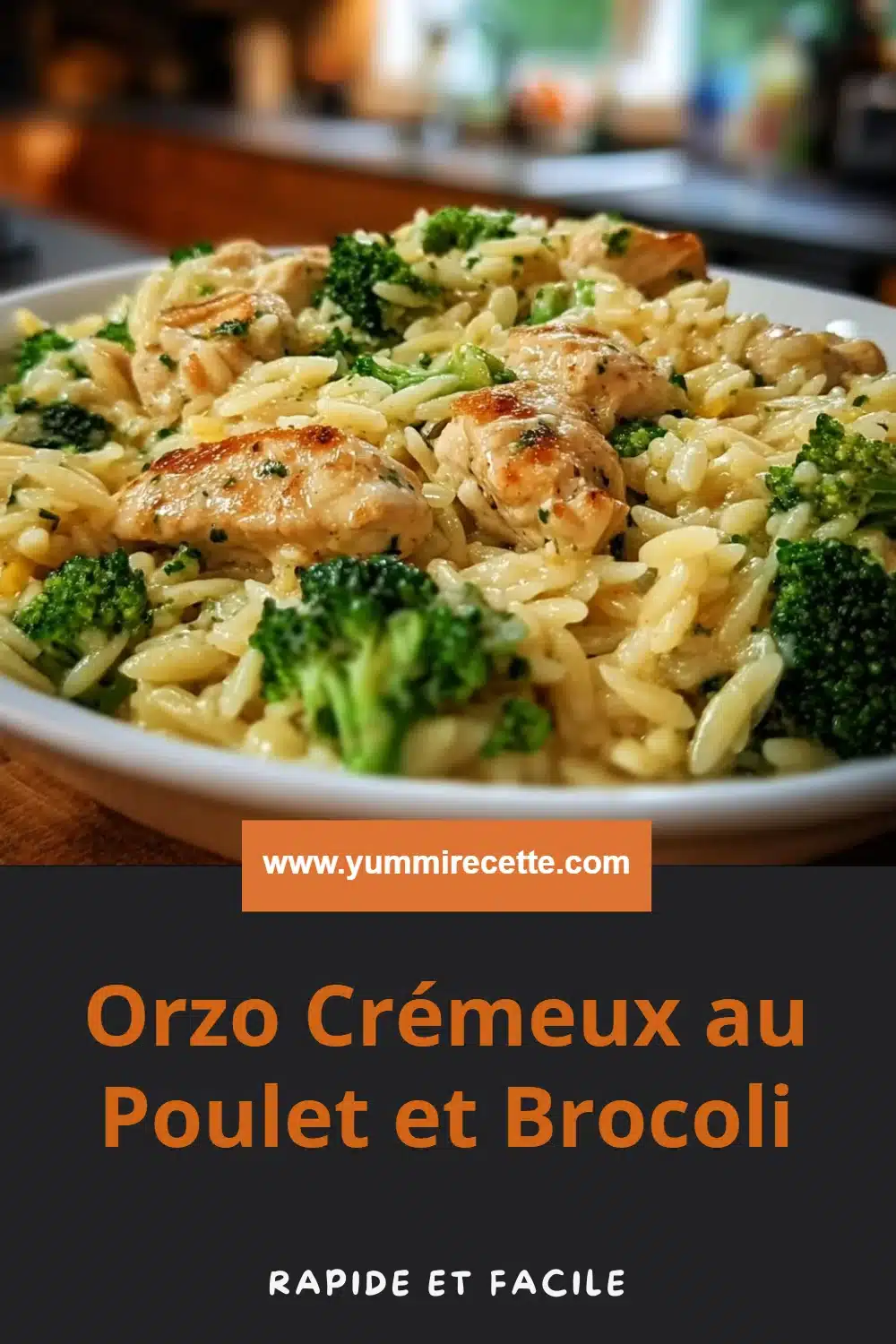 Orzo Crémeux au Poulet et Brocoli
