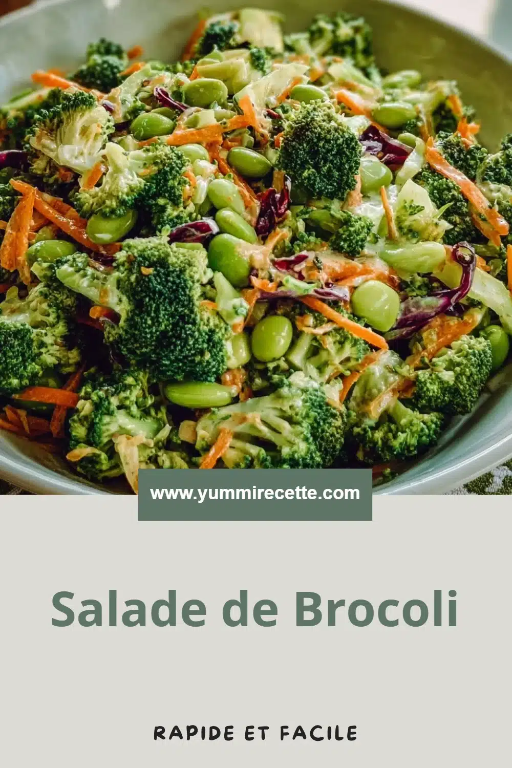 Salade de Brocoli