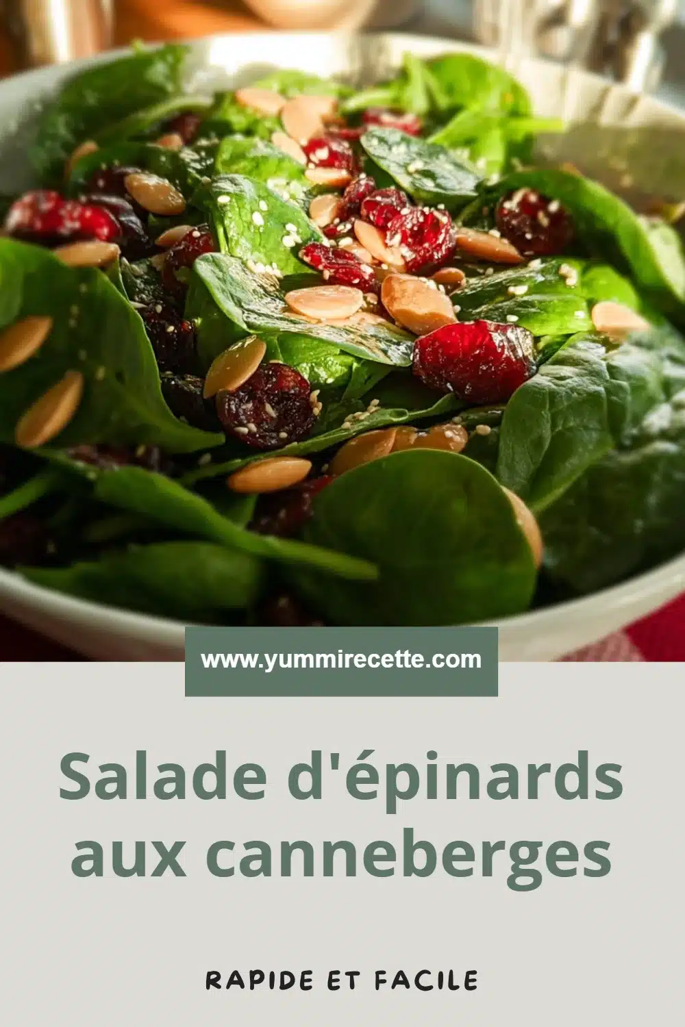 Salade d'épinards aux canneberges